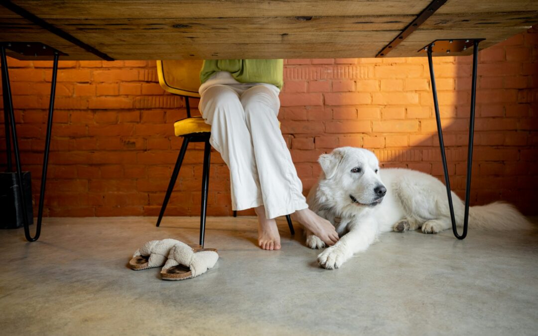 Woman sitting by the table with her adorable dog lying at her feet on the floor