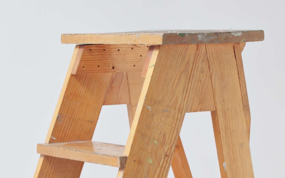 Comparatif : Les échelles Telescopiques de Werner contre celles de Little Giant